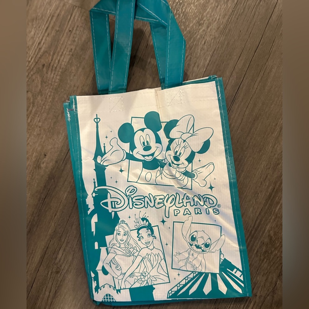 NWOT Disneyland Paris Small Tote Bag